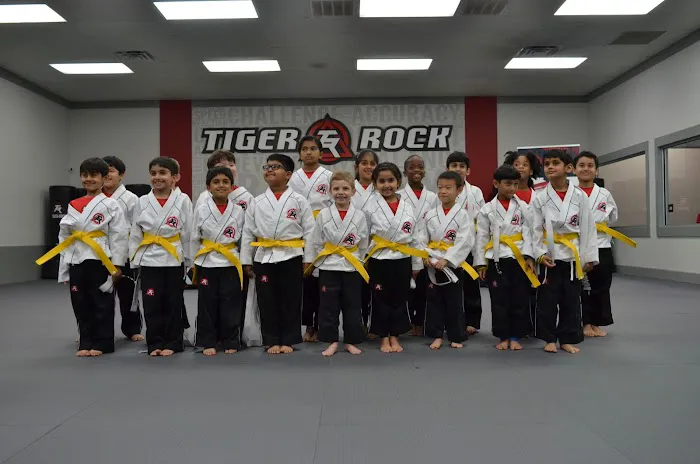 Tiger Rock Martial Arts of Sugar Land Picture 7