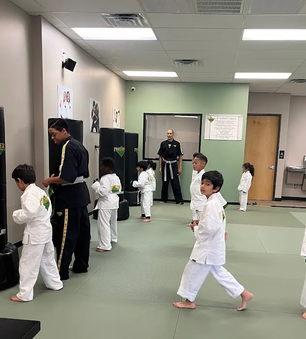Premier Martial Arts Sugar Land Picture 2