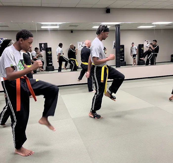 Premier Martial Arts Sugar Land Picture 5