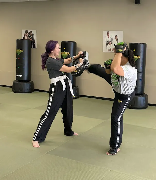 Premier Martial Arts Sugar Land Picture 6