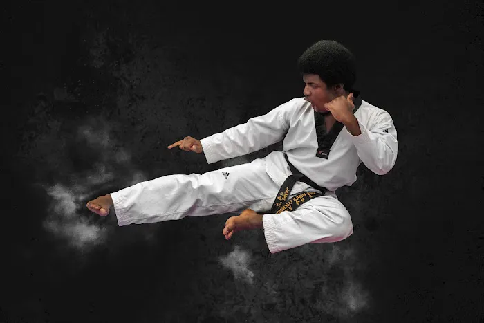 Kim's World Taekwondo Sugar Land Picture 2