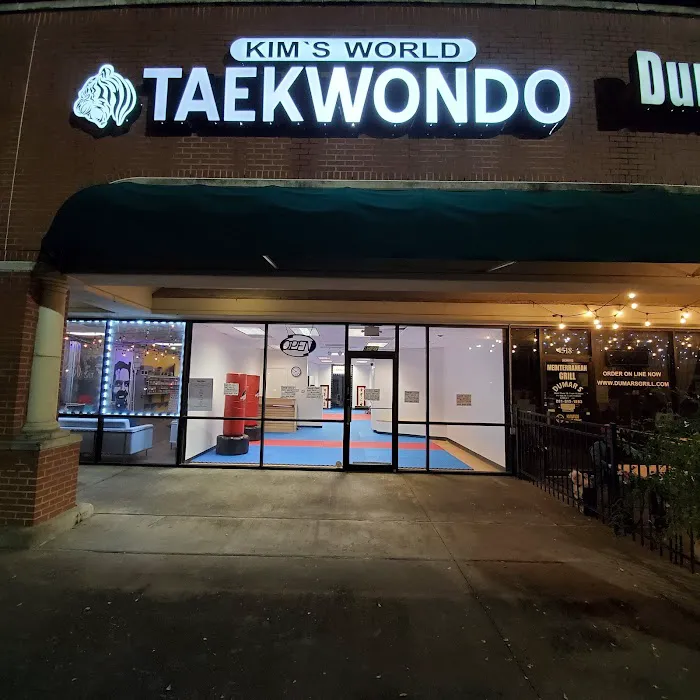 Kim's World Taekwondo Sugar Land Picture 4