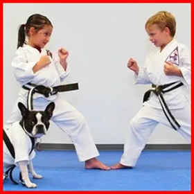 Safety America Karate Picture 6