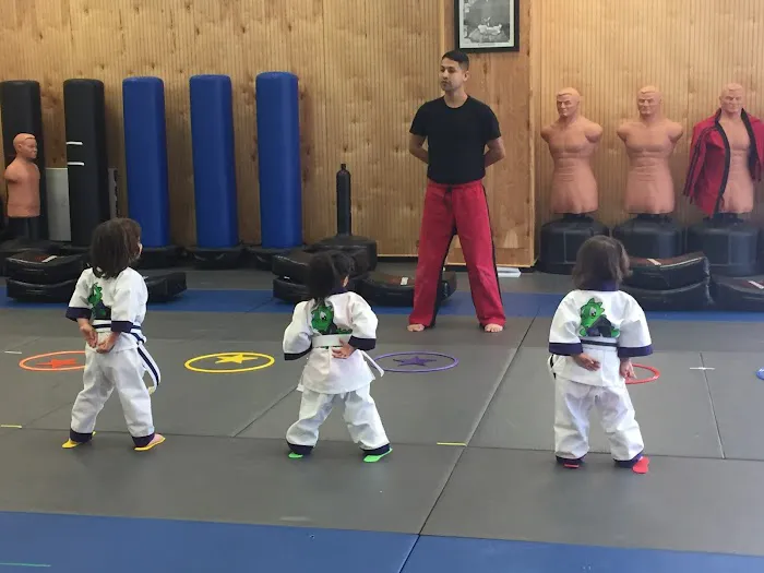 Black Belt Martial Arts Center Picture 1