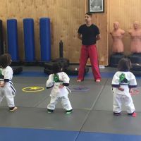 Black Belt Martial Arts Center ico