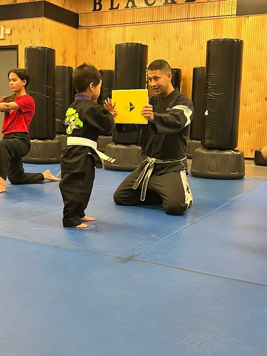 Black Belt Martial Arts Center Picture 8