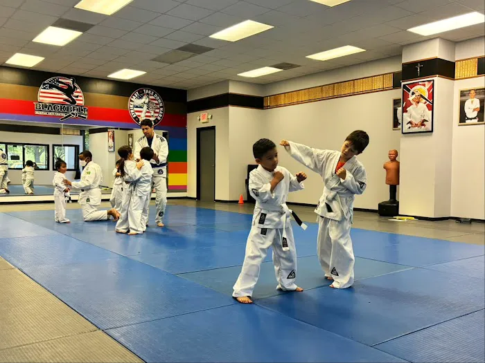 Black Belt Martial Arts Center Picture 6