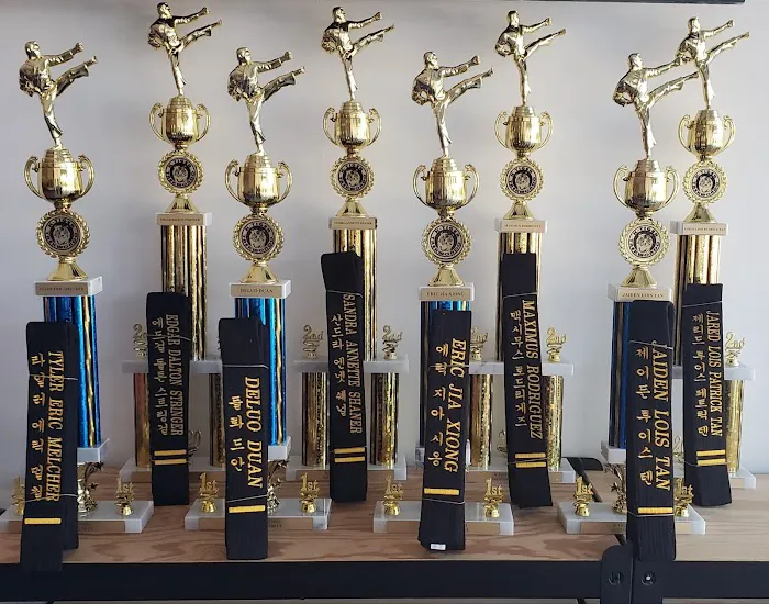 K-Tiger Taekwondo Picture 5