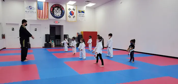 K-Tiger Taekwondo Picture 8