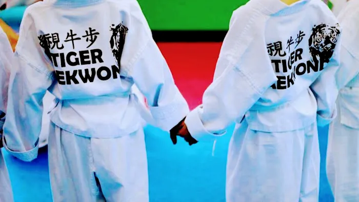 K-Tiger Taekwondo Picture 9