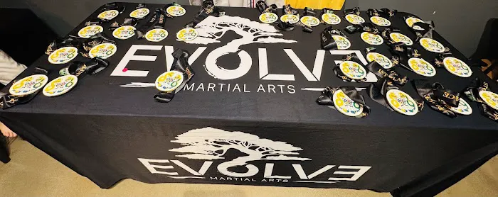 Evolve Martial Arts Picture 1