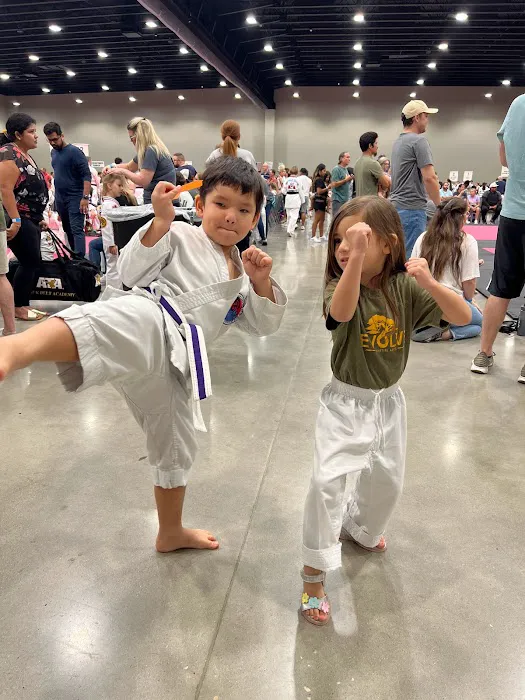 Evolve Martial Arts Picture 5