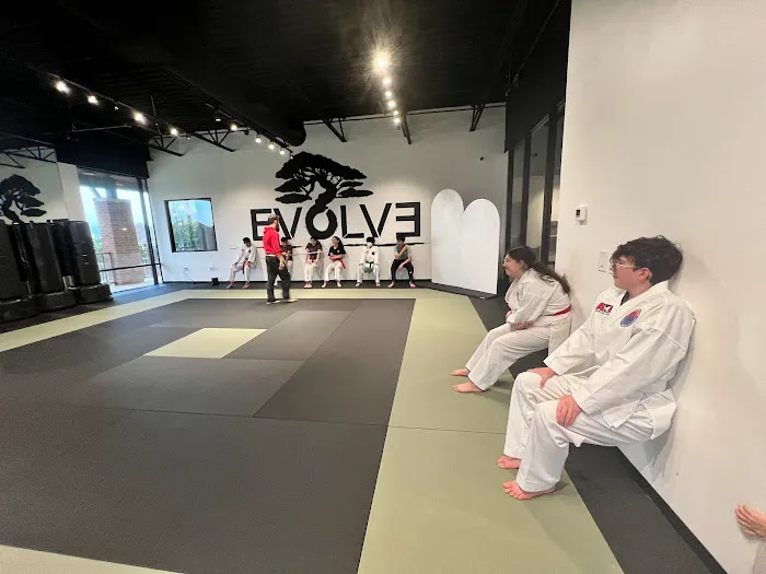 Evolve Martial Arts Picture 7