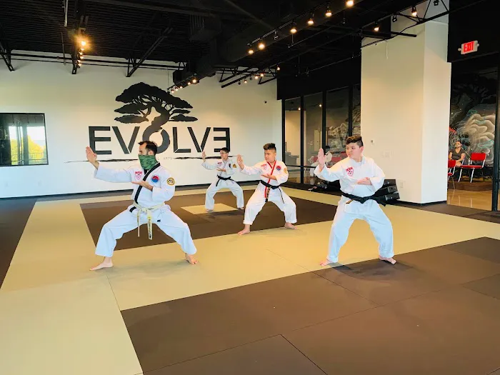 Evolve Martial Arts Picture 10