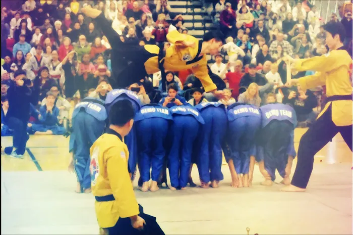 Master Lee's World Champion Taekwondo-Sugar Land Picture 5