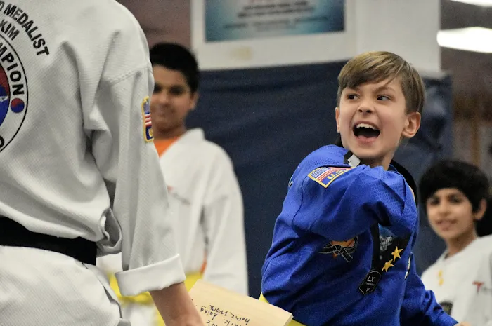 Master Lee's World Champion Taekwondo-Sugar Land Picture 7