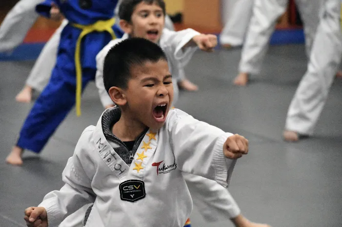 Master Lee's World Champion Taekwondo-Sugar Land Picture 8