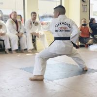Crosby Taekwondo Warriors ico