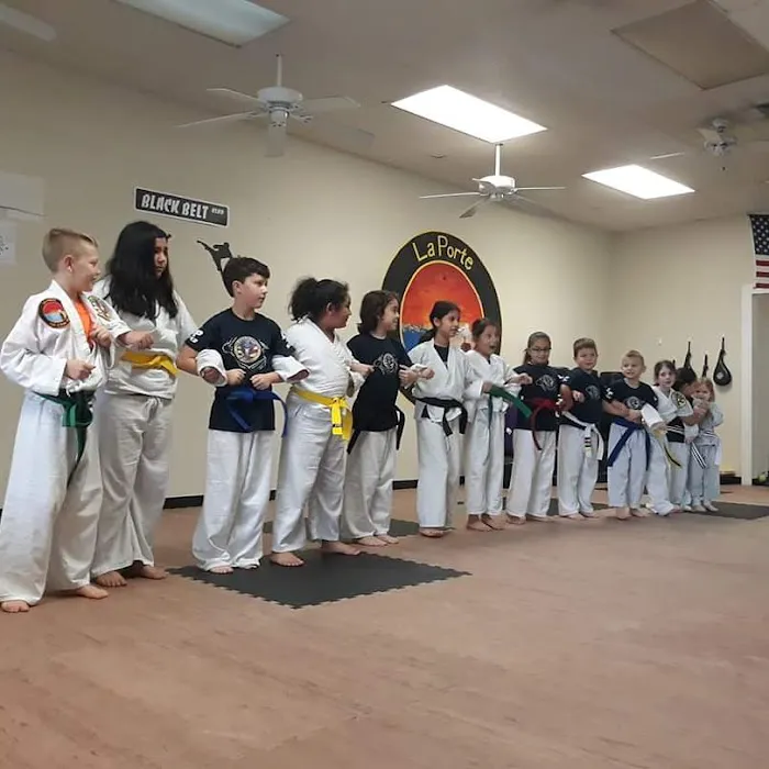 La Porte TaeKwonDo Picture 3