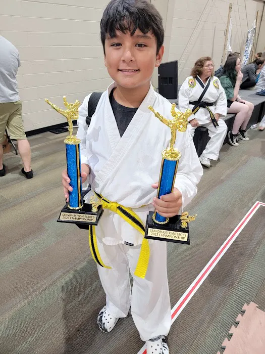 La Porte TaeKwonDo Picture 4
