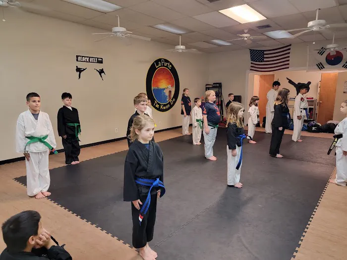 La Porte TaeKwonDo Picture 10