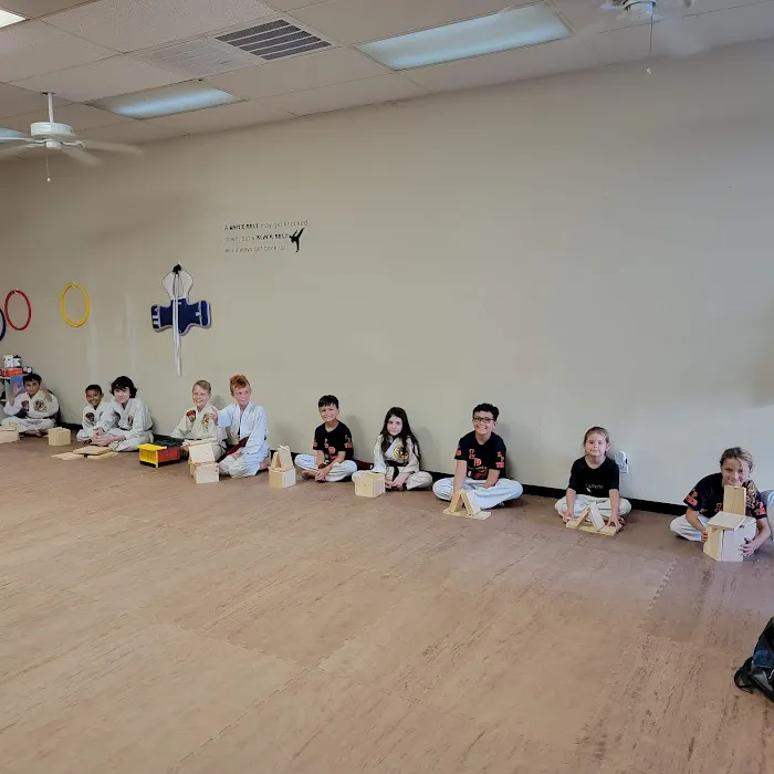 La Porte TaeKwonDo Picture 9