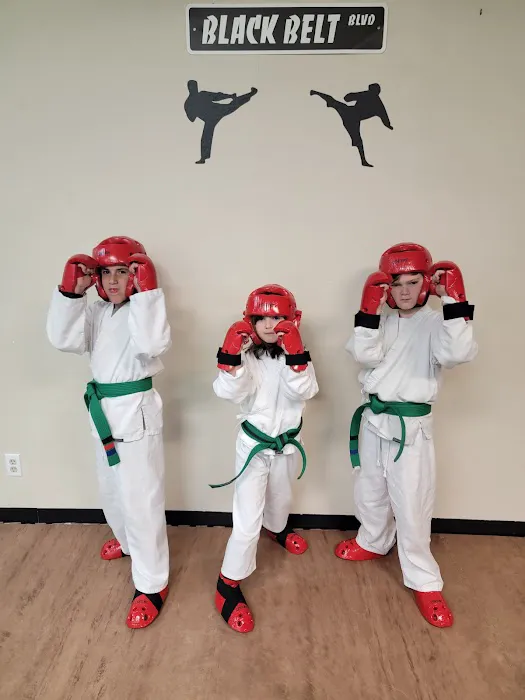 La Porte TaeKwonDo Picture 8