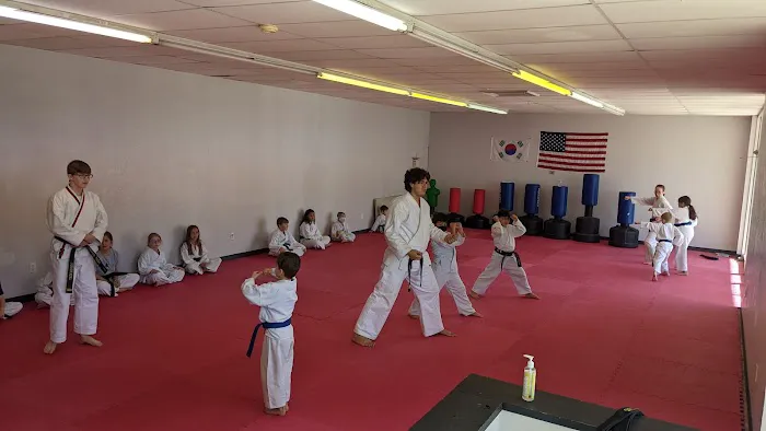 Baytown Tae Kwon Do Picture 3