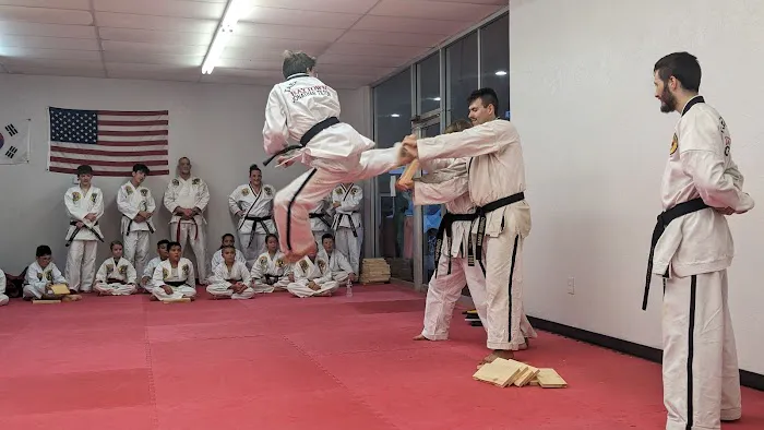 Baytown Tae Kwon Do Picture 2