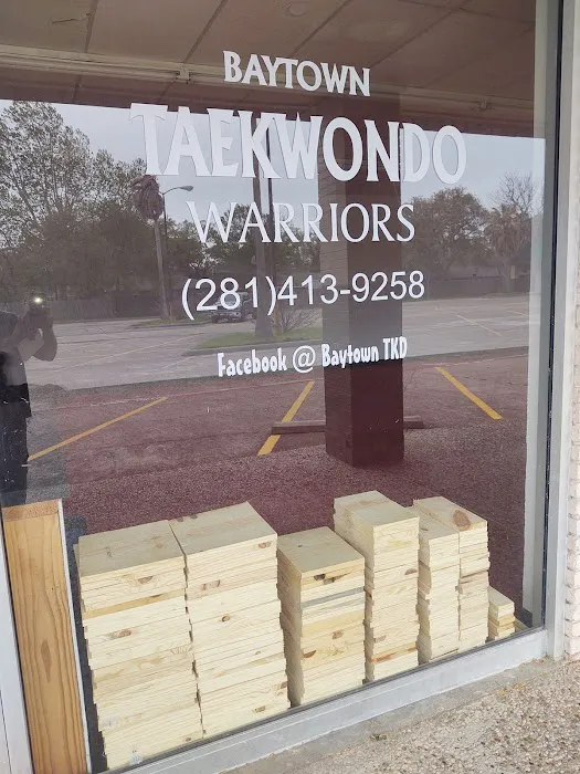 Baytown Tae Kwon Do Picture 9