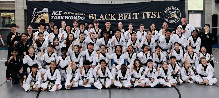 ACE Taekwondo - Kingwood Picture 1