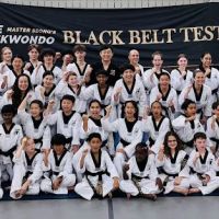 ACE Taekwondo - Kingwood ico