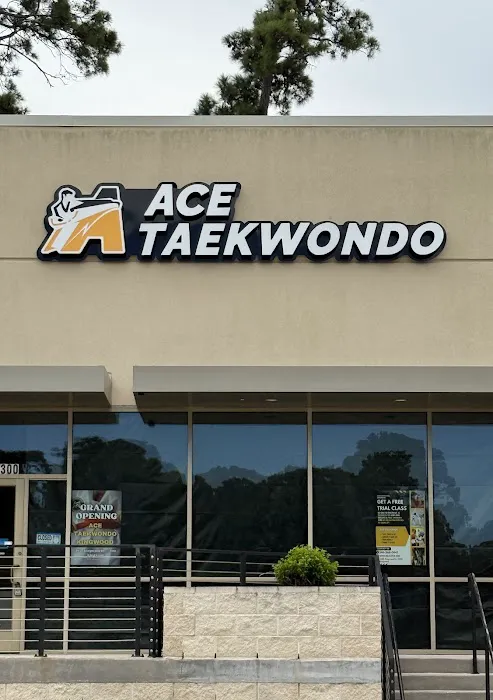ACE Taekwondo - Kingwood Picture 2