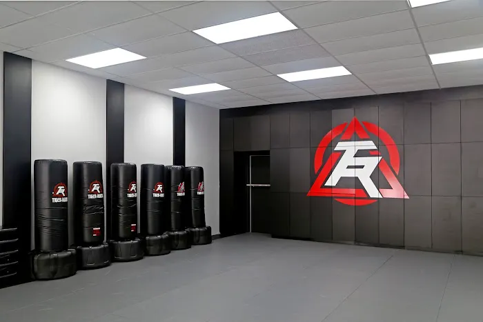 Tiger-Rock Martial Arts of Kingwood Picture 2