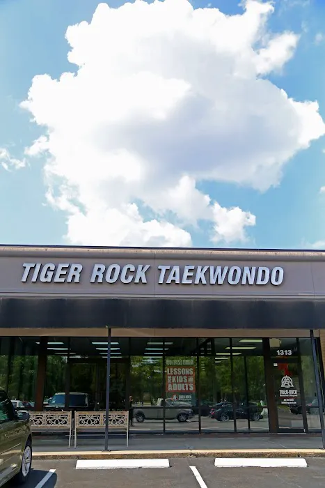 Tiger-Rock Martial Arts of Kingwood Picture 6
