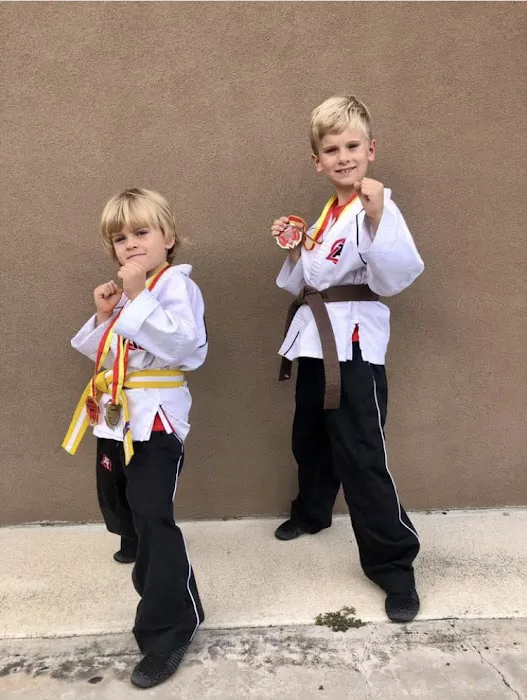 Tiger-Rock Martial Arts of Kingwood Picture 5