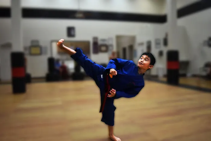 Bushiban Martial Arts and Fitness Seabrook Picture 6