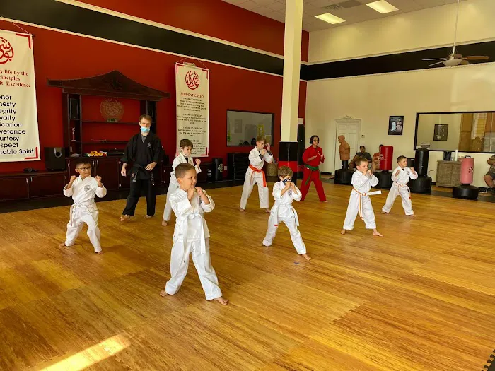 Bushiban Martial Arts and Fitness Seabrook Picture 8