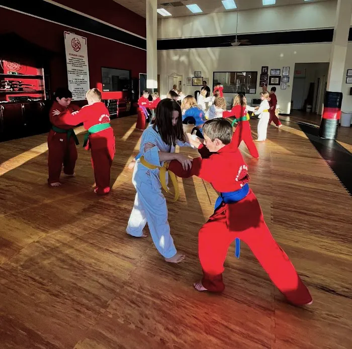 Bushiban Martial Arts and Fitness Seabrook Picture 4