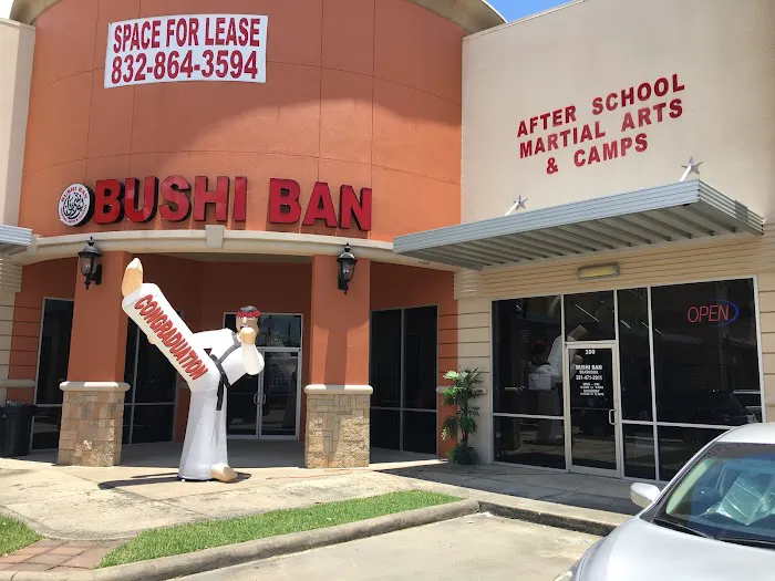 Bushiban Martial Arts and Fitness Seabrook Picture 7