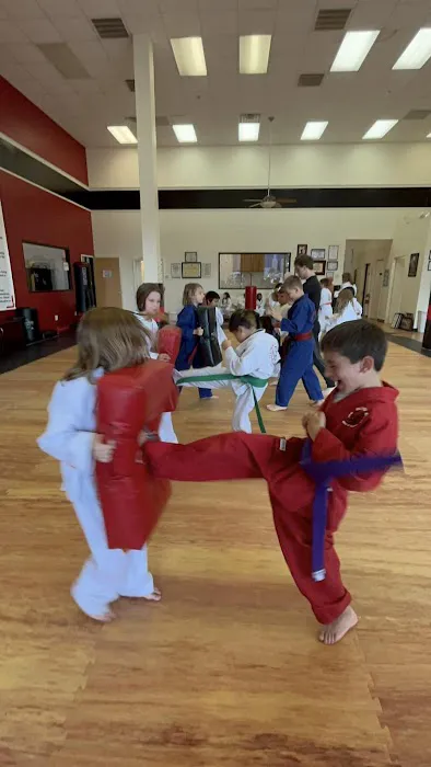 Bushiban Martial Arts and Fitness Seabrook Picture 10