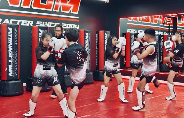 Millennium Martial Arts Picture 1