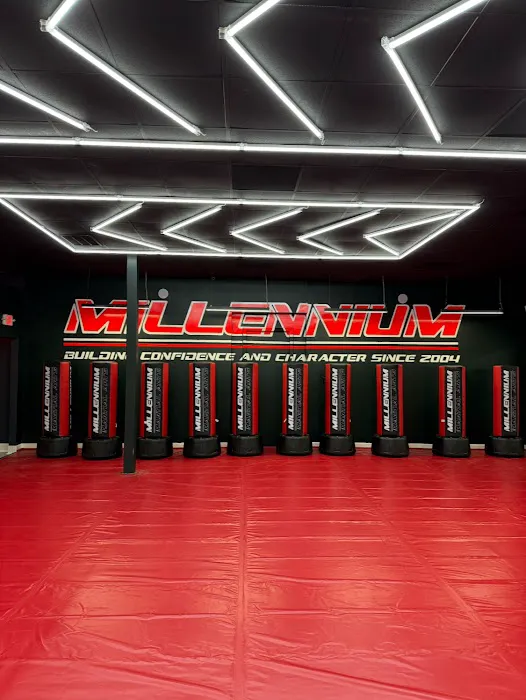Millennium Martial Arts Picture 7