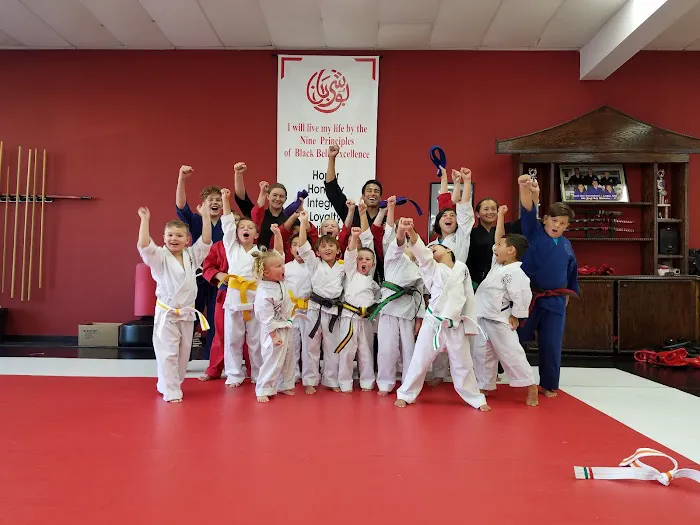 Bushi Ban Martial Arts & Fitness Picture 2