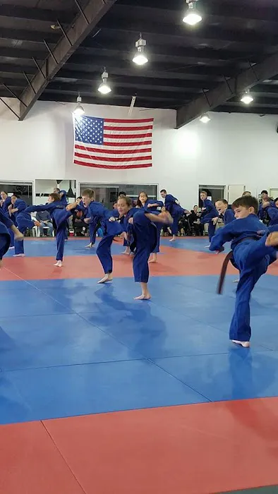 Bushi Ban Martial Arts & Fitness Picture 8