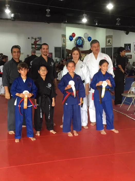 Bushi Ban Martial Arts & Fitness Picture 6