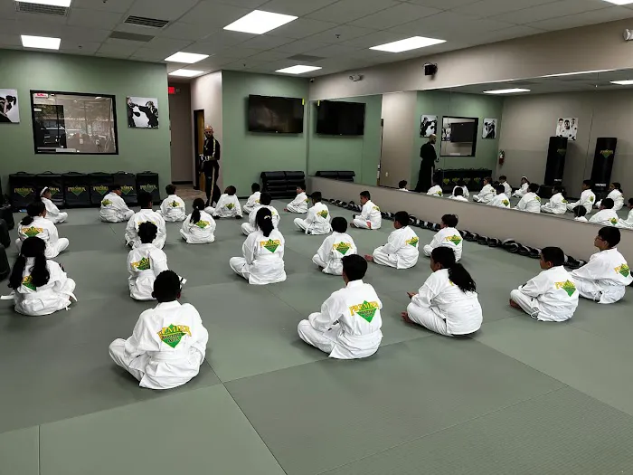 Premier Martial Arts Barker Cypress Picture 10