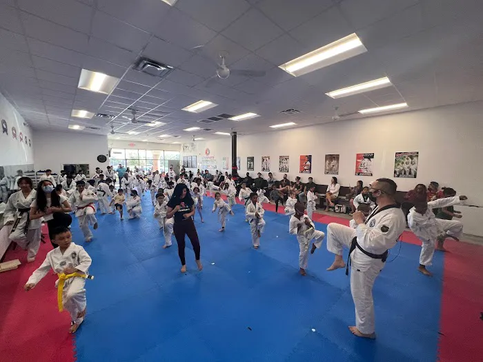 Tiger Kyong's Top Class Taekwondo Picture 1