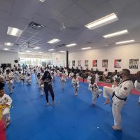 Tiger Kyong's Top Class Taekwondo ico