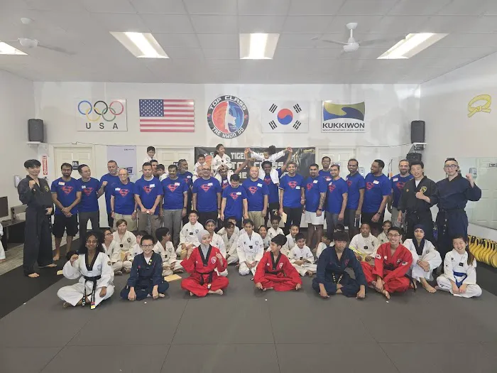 Tiger Kyong's Top Class Taekwondo Picture 5